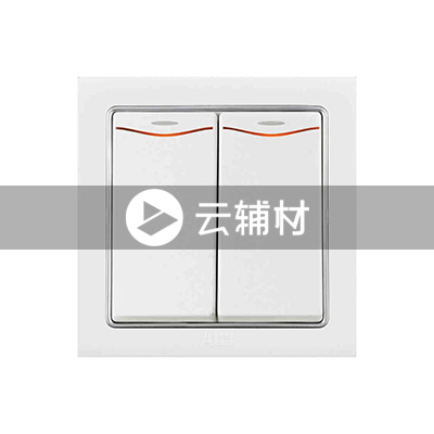AN162 二位单控带灯开关 10AX (白色)
