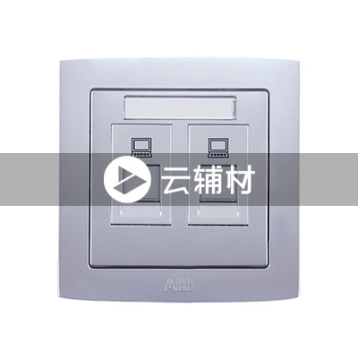 AS538-S二位八芯电脑地插 超5类（银色） RJ45