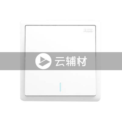 AQ119一位中间带荧光开关 10AX