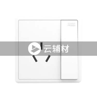 AQ228一位三极带开关插座 16A