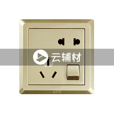 AE225-PG 二位二、三极带开关插座 10A（香槟金）