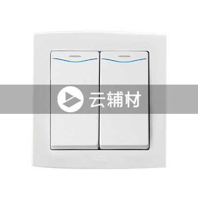 AL162二位单控带灯开关 10AX