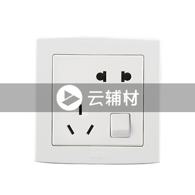 AL225二位二、三极带开关插座 10A