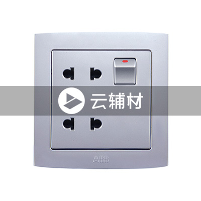 AL222-S二位二极扁圆两用带开关插座（银色） 10A