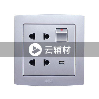 AL234-S二位二极扁圆两用带开关带灯插座（银色） 10A