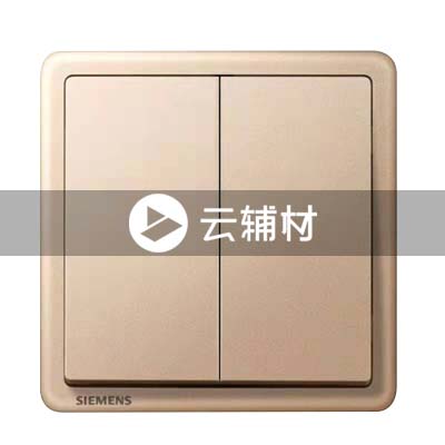 西门子致琦日耀金10AX 二位双控开关