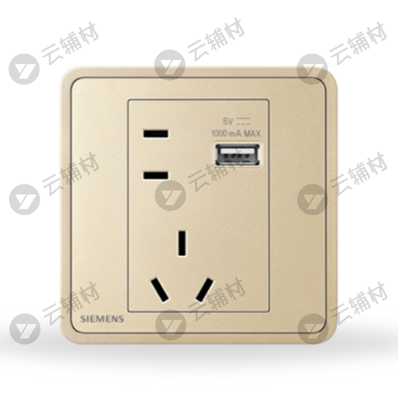 西门子睿绎星辉银10A联体二三极+1AUSB插座