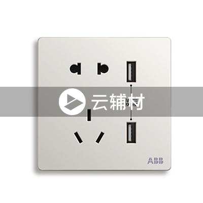 AF293二位带USB充电中标二三极插座10A